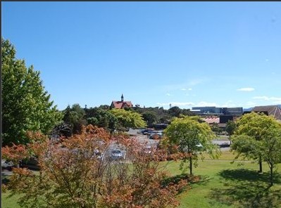 æé¿éå¥çå·¥å­¦é¢